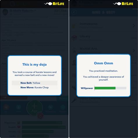Things We Wish We Knew Before Starting BitLife .
